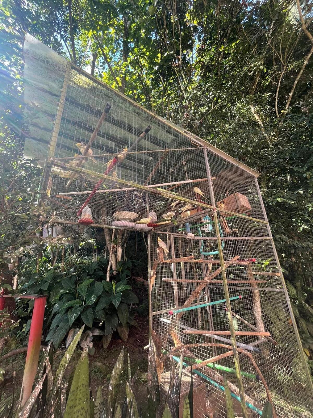 Balneário CamboriúApe Do Salomaoアパートメント エクステリア 写真